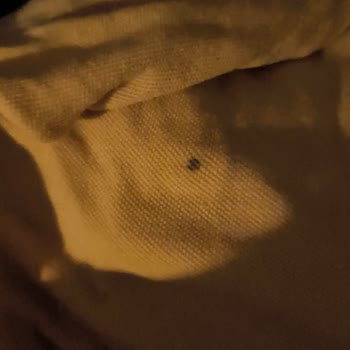 Çamaşır Makinesi Sorunum Çözülmüyor, Mağduriyetim Giderilmiyor