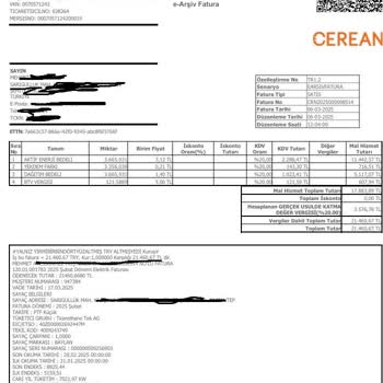 Cerean Enerji'den Faturalara Yüksek Faiz Uygulaması