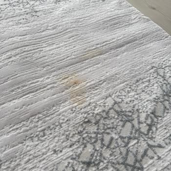 Express Hijyen Halı Yıkama Lekeli Gelen Halı