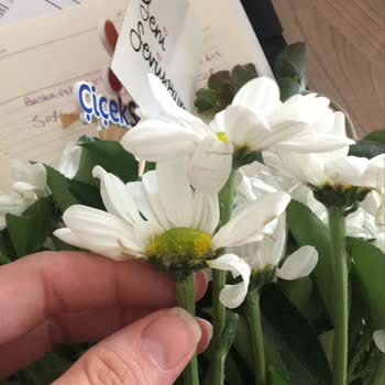 Çiçek Sepeti'nden Eksik Ve Solmuş Çiçekle Büyük Hayal Kırıklığı!