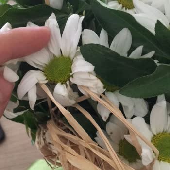 Çiçek Sepeti'nden Eksik Ve Solmuş Çiçekle Büyük Hayal Kırıklığı!