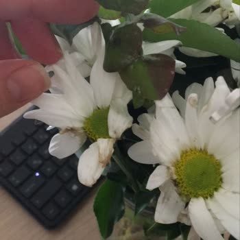 Çiçek Sepeti'nden Eksik Ve Solmuş Çiçekle Büyük Hayal Kırıklığı!