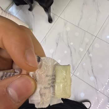 Sağlıksız Ve Kirli Sakızlar Nedeniyle Mağduriyet