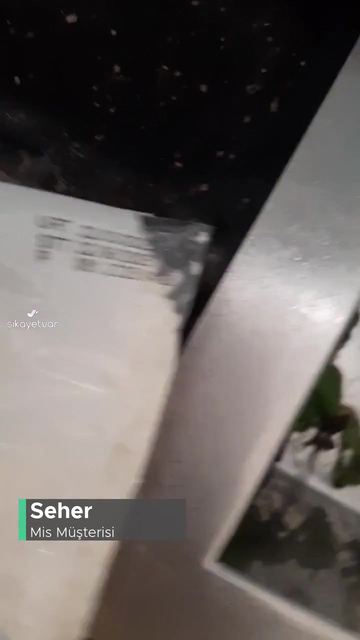 Mis Lor Peyniri Küflenmiş! videonun kapak resmi