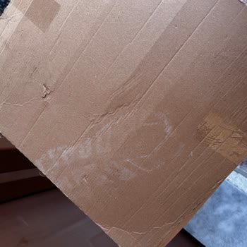 Kargom Kayıp, Üstüne Bir De Hasarlı Teslimat!