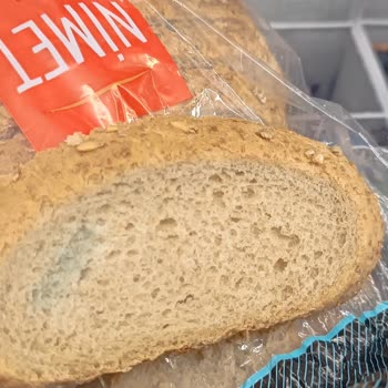 Aldığım Ekmek Küflü Çıktı İade Talebim Reddedildi