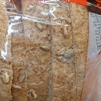 Aldığım Ekmek Küflü Çıktı İade Talebim Reddedildi