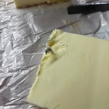 Arı Süt Ürünleri Afyonkarahisar Tereyağından Çıkan Yabancı Madde