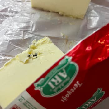 Arı Süt Ürünleri Afyonkarahisar Tereyağından Çıkan Yabancı Madde