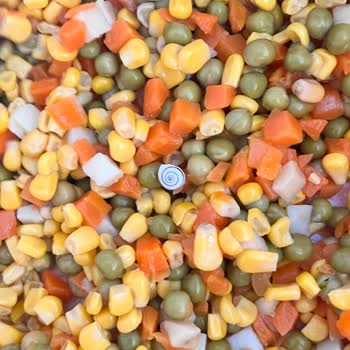 Garnitürden Salyangoz Çıkması Şok Etti!