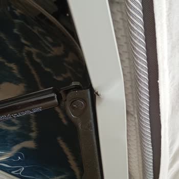 Bellona Baza Ve Yatakta Kalite Düşüşü Ve Servis İlgisizliği Yaşadık