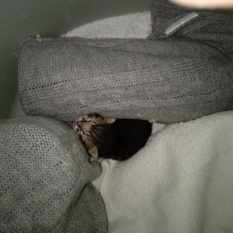 PTT Kargo Müşteri Hizmetlerinde Cevapsızlık Ve Kayıp Kargo Mağduriyeti