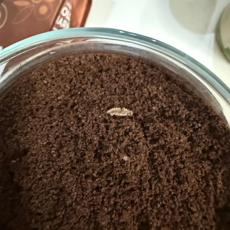 I Found an Insect Inside My Starbucks Packaged Coffee