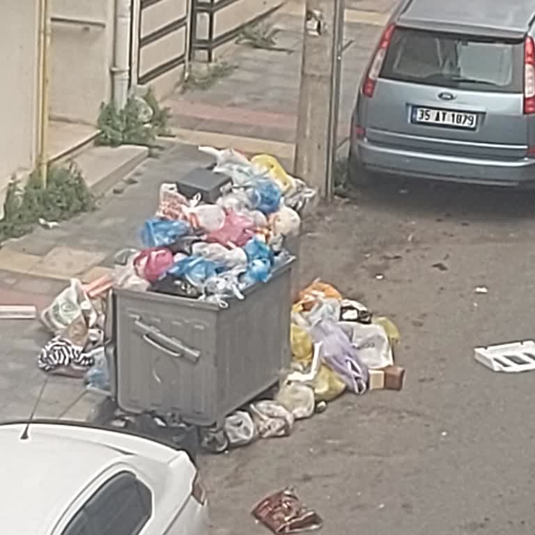 Çankaya Mahallesi'nde Düzenli Çöp Toplama Sorunu Ve Sivrisinek Problemi