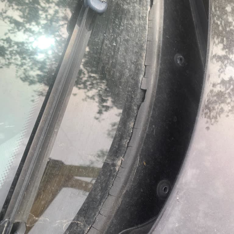 BMW 116d Ön Cam Fitili Dökülüyor, Su Alıyor, Çözüm Bekliyorum