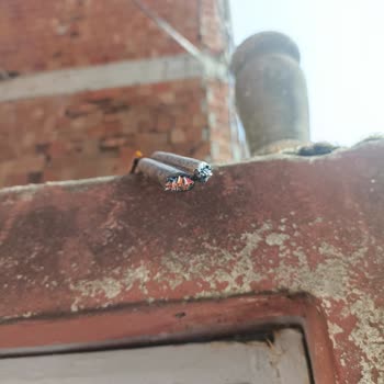 Kablo Kesik, Günlerdir İnternet Yok, Türk Telekom'dan Çözüm Bekliyoruz