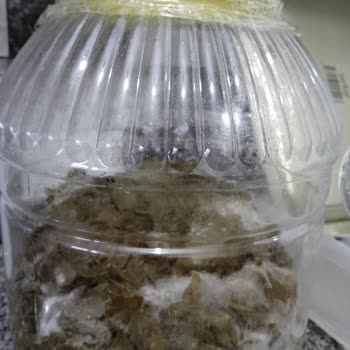 Fatma'nın Bahçesi'nden Aldığım Ürünlerde Bilgilendirme Eksikliği Ve Müşteri Memnuniyetsizliği