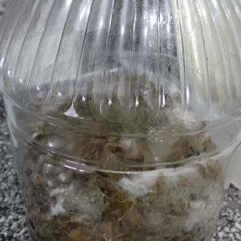 Fatma'nın Bahçesi'nden Aldığım Ürünlerde Bilgilendirme Eksikliği Ve Müşteri Memnuniyetsizliği