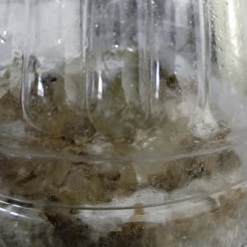 Fatma'nın Bahçesi'nden Aldığım Ürünlerde Bilgilendirme Eksikliği Ve Müşteri Memnuniyetsizliği