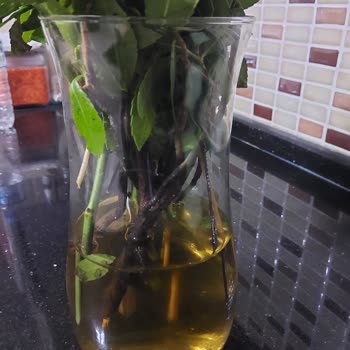 Anneler Günü Çiçeği Beklentimi Karşılamadı, Müşteri Hizmetleri Yetersiz