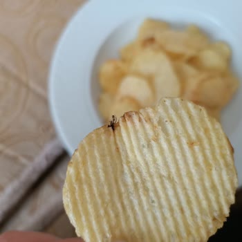 Cips Paketinde Böcek Çıkması Ve Hijyen Sorunu