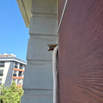 Kurulum Sırasında Yaşanan Sorunlar Ve Çözüm Arayışı