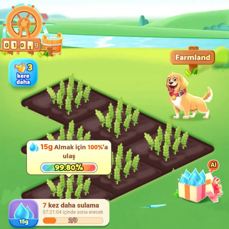 Temu Ücretsiz Hediye Ve Gümrük Ücreti Sorunlarıyla Karşılaştım