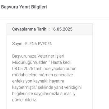 Tedavi İçin Verilen Sokak Kedim Belediyede Enfeksiyondan Öldü