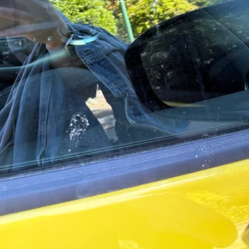 Pahalı Otomatik Yıkama Kuş Lekelerini Bile Temizlemedi Hayal Kırıklığı