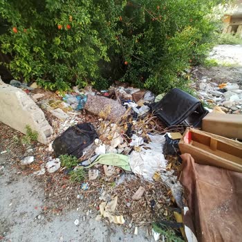 Seyhan Belediyesi'nin Yetersiz Temizlik Hizmeti Ve İlgisizliği