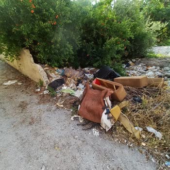 Seyhan Belediyesi'nin Yetersiz Temizlik Hizmeti Ve İlgisizliği