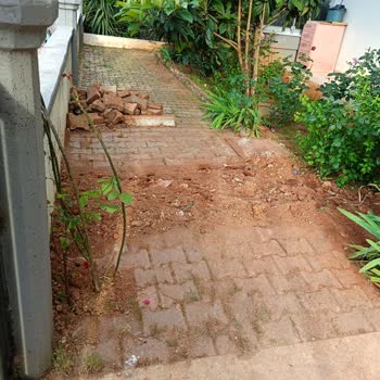 Doğalgaz Altyapı Çalışmasında İnternet Kablomun Koparılmasıyla Yaşadığım Mağduriyet