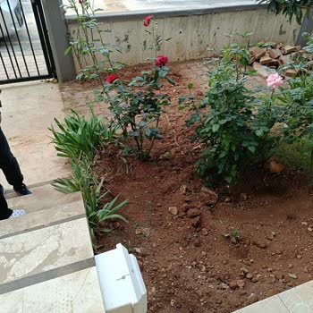 Altyapı Çalışmasında İnternet Kablom Zarar Gördü Mağdur Oldum