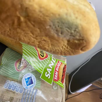 Migros’tan Aldığım Ekmek Son Kullanma Tarihinden Önce Küflendi