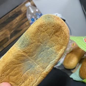 Migros’tan Aldığım Ekmek Son Kullanma Tarihinden Önce Küflendi