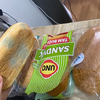Migros’tan Aldığım Ekmek Son Kullanma Tarihinden Önce Küflendi