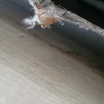 Damla Dizayn Koltuk Ortadan Çökme Yaptı