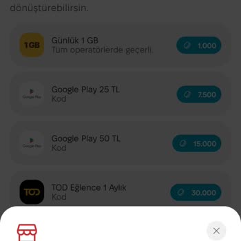 Freebayt Puanlarım İnternete Dönüşmüyor, Sorun Üç Gündür Devam Ediyor