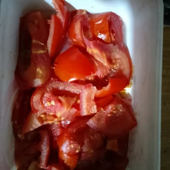 Siparişimdeki Hatalı Paketleme Nedeniyle Ürün Zarar Gördü, Çözüm Sunulmadı