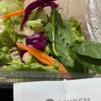 Salatadan Böcek Çıkması Hijyen Endişesi Yarattı