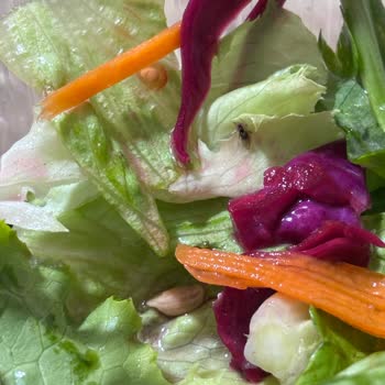 Salatadan Böcek Çıkması Hijyen Endişesi Yarattı