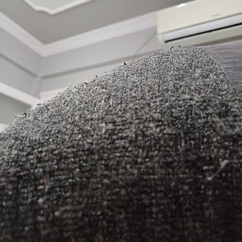 Bir Yıl İçinde Tüylenen Koltuk Takımına Çözüm Bekliyorum