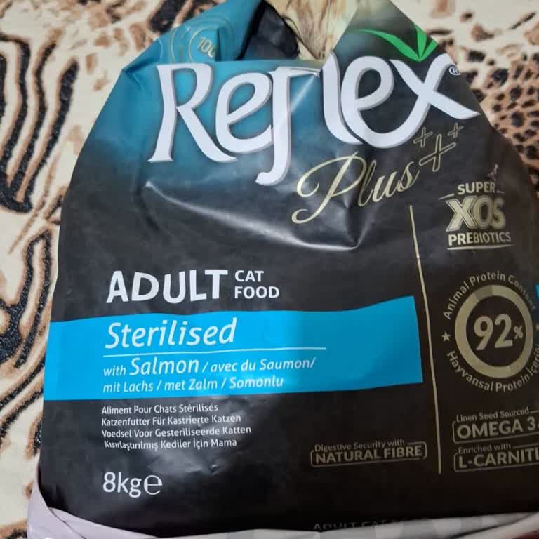 Reflex Plus Kedi Maması Sonrası Kedimde Kusma Ve Stres