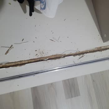 Viev Mobilya Sürgülü Dolap Kapağı Sorunu Ve Çözüm Eksikliği