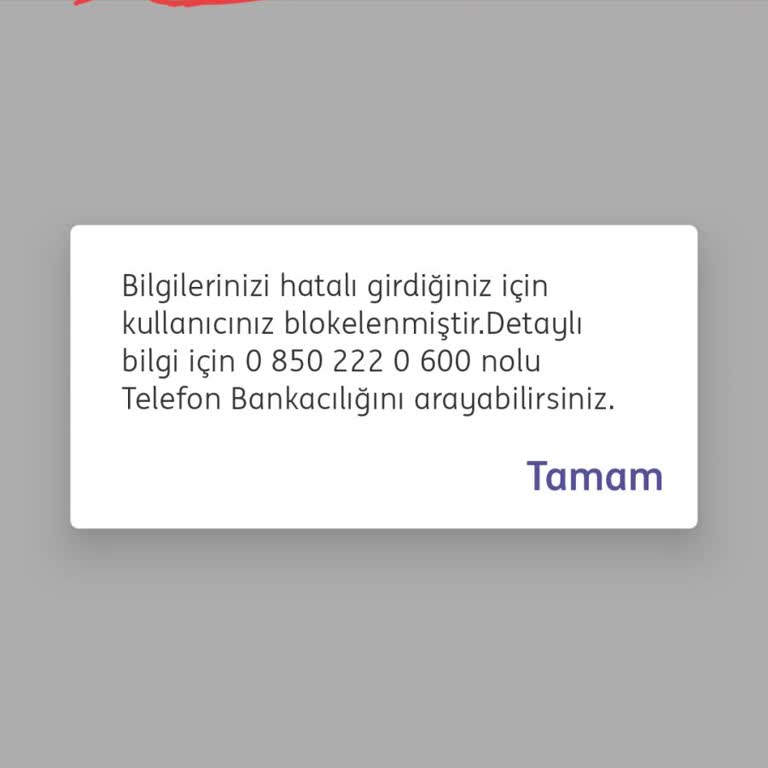 ING Bank Hesabımda Bloke Sorunu Ve Ulaşılmaz Müşteri Hizmetleri
