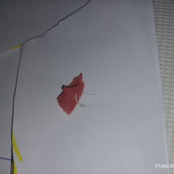 Namet Piliç Sosislerinde Tavuk Tüyü Şoku