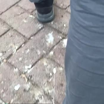 Boyner Nike Ayakkabıya Çözüm Üretsin!