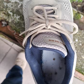 Aldığım Skechers Ayakkabının Kısa Sürede Bozulması Ve Garanti Sorunu