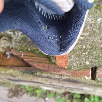 Aldığım Skechers Ayakkabının Kısa Sürede Bozulması Ve Garanti Sorunu