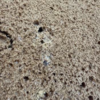 Küflü UNO Pasta Kekleri Ve Yetersiz Müşteri Hizmetleri Deneyimi